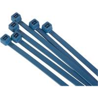 Attache-c&acirc;bles d&eacute;tectables par d&eacute;tecteur de m&eacute;taux, 6" lo, R&eacute;sistance &agrave; la traction 120 lb Distribution Jean Lapalme