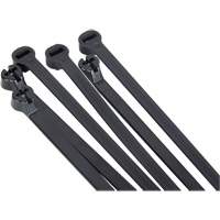 Steel Barb Cable Ties, 14-1/2" Long, 50 lbs. Tensile Strength, Black Distribution Jean Lapalme