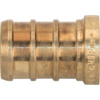 Lead-Free Pipe Plug, Pipe, 1/2" Dia., Brass Distribution Jean Lapalme
