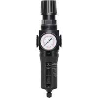 Manual Drain Filter/Regulator with Metal Bowl Modulair 300, 1/4" NPT, 250 PSI, 5.1 fl. oz. Capacity Distribution Jean Lapalme