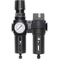 Manual Drain Filter, Regulator & Coalescing Filter with Standard Bowl Modulair 300, 1/4" NPT, 150 PSI, 5.1 fl. oz. Capacity Distribution Jean Lapalme