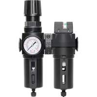 Filter/Regulator & Coalescing Filter Modulair 300 with Standard Bowl & Manual Drain, 3/8" NPTF, 150 PSI, 5.12 fl. oz. Capacity Distribution Jean Lapalme