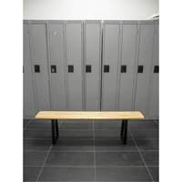 Banc pour vestiaire, Bois, 48" lo x 9-1/2" la x 16-1/2" h Distribution Jean Lapalme