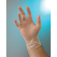Gants d'examen, Petit, Vinyle, 4 mils, Sans poudre, Transparent, Classe 2 Distribution Jean Lapalme