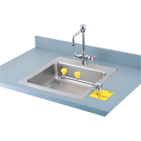 Swing-Away Eyewash Station, Counter-Mount Installation Distribution Jean Lapalme