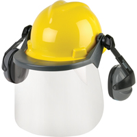 Head & Face Protection Systems Distribution Jean Lapalme