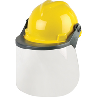 Head & Face Protection Systems Distribution Jean Lapalme