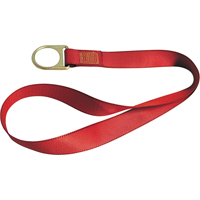 PointGuard Anchorage Connector Straps, D-Ring, Temporary Use Distribution Jean Lapalme