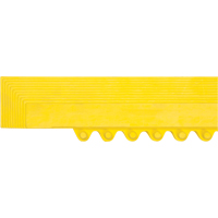 Rampe de bordure pour tapis Distribution Jean Lapalme