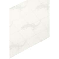 Ruban antid&eacute;rapant de premi&egrave;re qualit&eacute;, 4" x 60', Transparent Distribution Jean Lapalme