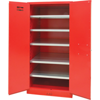 Armoire pour peintures et encres, 96 gal., 5 tablettes Distribution Jean Lapalme