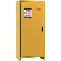 30-Minute EN Safety Storage Cabinet, 30 gal., 1 Door, 34.02" W x 76.65" H x 24.21" D Distribution Jean Lapalme