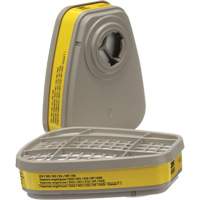 6000 Series Respirator Cartridges, Gas/Vapour Cartridge, Organic Vapour/Acid Gas Distribution Jean Lapalme