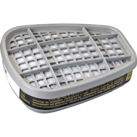 6000 Series Respirator Cartridges, Gas/Vapour Cartridge, Formaldehyde/Organic Vapour Distribution Jean Lapalme