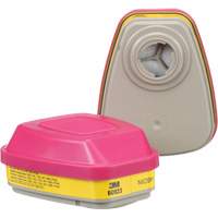 6000 Series Respirator Cartridges, Gas/Vapour Cartridge, Organic Vapour/Acid Gas/P100 Distribution Jean Lapalme
