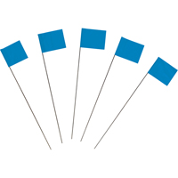 Marking Flags Distribution Jean Lapalme