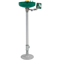 Axion&reg; Eye/Face Wash Station, Pedestal Installation, Plastic Bowl Distribution Jean Lapalme