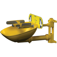 Halo Face/Eyewash Stations, Wall-Mount Installation, Plastic Bowl Distribution Jean Lapalme
