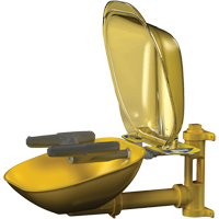 Halo Face/Eyewash Stations, Wall-Mount Installation, Plastic Bowl Distribution Jean Lapalme