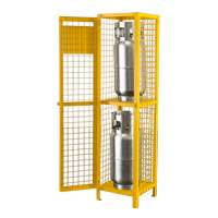 Gas Cylinder Cabinets, 2 Cylinder Capacity, 17" W x 17" D x 69" H, Yellow Distribution Jean Lapalme