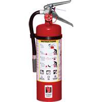 Fire Extinguisher, ABC, 5 lbs. Capacity Distribution Jean Lapalme