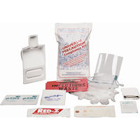 Fluid Spill Clean-Up Kit, Hazmat, Bag, None Absorbancy Distribution Jean Lapalme