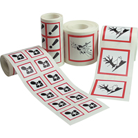 GHS Pictogram Labels, Vinyl, Roll, 4" L x 4" W Distribution Jean Lapalme