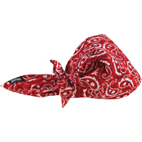 Chill-Its&reg; 6710CT Cooling Triangle Hats, Red Distribution Jean Lapalme