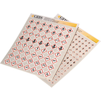 Assortiment d'&eacute;tiquettes avec pictogrammes sgh, Vinyle, Feuille, 1" lo x 1" la Distribution Jean Lapalme