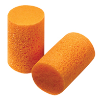 Howard Leight FirmFit Disposable Earplugs, Bulk - B Distribution Jean Lapalme