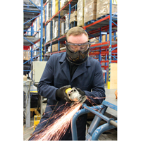 Z2300 Series Safety Shield Goggles, Clear Lens, Anti-Fog, Indirect Vent Distribution Jean Lapalme