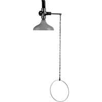 Lifesaver&reg; Emergency Overhead Showers, Ceiling-Mount Distribution Jean Lapalme
