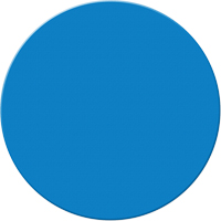 Armor Stripe Lean/5S Markers, Circle, 6" L x 6" W, Blue, Plastic Distribution Jean Lapalme