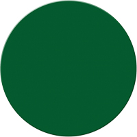 Armor Stripe Lean/5S Markers, Circle, 6" L x 6" W, Green, Plastic Distribution Jean Lapalme