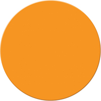 Armor Stripe Lean/5S Markers, Circle, 6" L x 6" W, Orange, Plastic Distribution Jean Lapalme