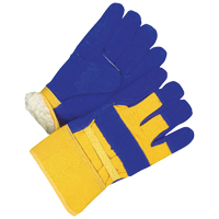 Ladies Fitter Gloves, Ladies, Grain Cowhide Palm, Cotton Inner Lining Distribution Jean Lapalme