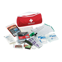 Dynamic Car First Aid Kit, Class 1 Medical Device, Nylon Bag Distribution Jean Lapalme