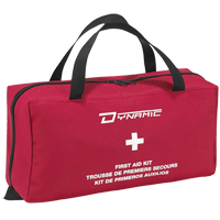 Dynamic Large Nylon Bag Distribution Jean Lapalme