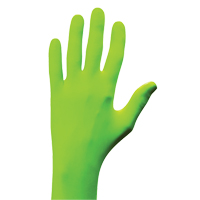 N-Dex&reg; Gloves, Small, Nitrile, 5-mil, Powder-Free, Green Distribution Jean Lapalme