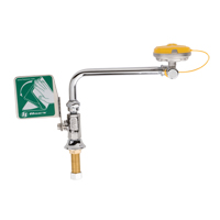 Eye/Face Wash Station, Sink Mount Installation Distribution Jean Lapalme
