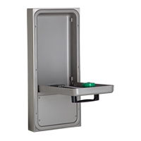Eye/Face Wash Station, Wall-Mount Installation Distribution Jean Lapalme
