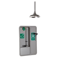 Eye/Face Wash and Shower, Ceiling-Mount Distribution Jean Lapalme