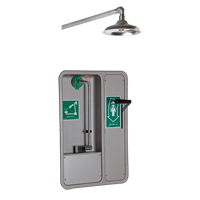 ADA Eye/Face Wash and Shower, Ceiling-Mount Distribution Jean Lapalme