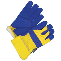 Fitter Gloves, One Size, Grain Cowhide Palm, Thinsulate Inner Lining Distribution Jean Lapalme