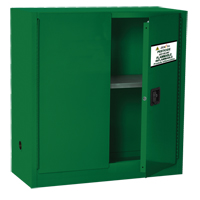 Pesticide Cabinets