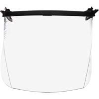 Faceshield Visors