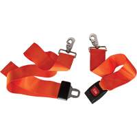 Dynamic Restraining Strap Distribution Jean Lapalme