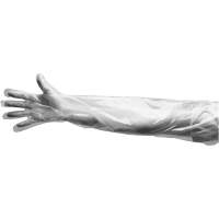 Gants jetables, Grand, Poly&eacute;thyl&egrave;ne, 9 mils, Poudr&eacute;s, Transparent Distribution Jean Lapalme