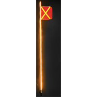 Safety Whip&reg; Heavy-Duty LED Whips, Hitch Mount, 10 High, Orange with Reflective Distribution Jean Lapalme