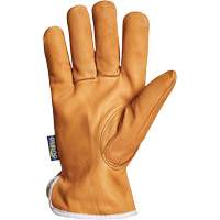 Endura&reg; Driver's Glove, Small, Grain Goatskin Palm, Thinsulate Inner Lining Distribution Jean Lapalme